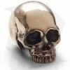 Lion ARMory Classic Skull Bead Brass